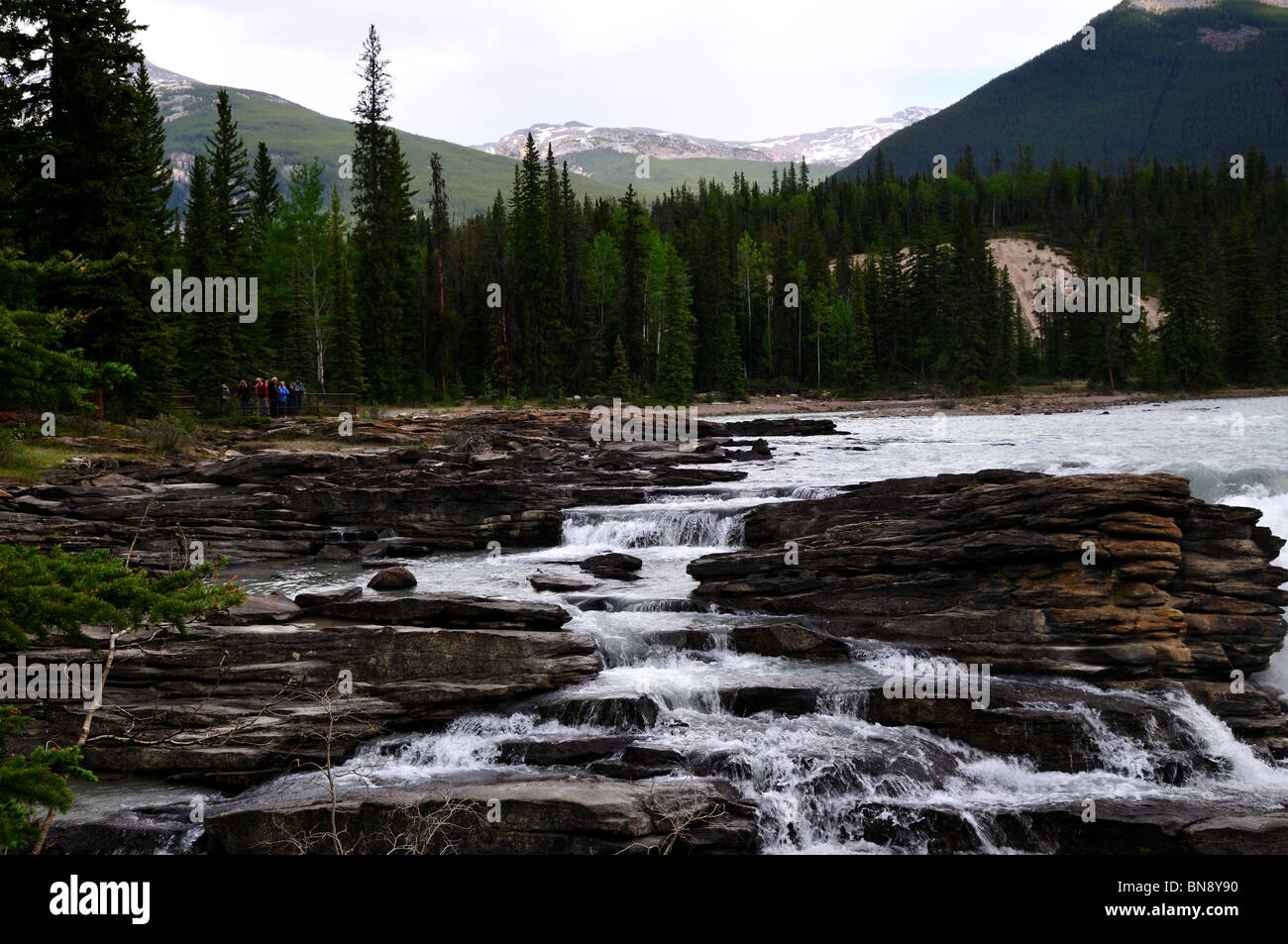 Athabasca river and falls. Jasper National Park, Alberta, Canada. Stock Photo