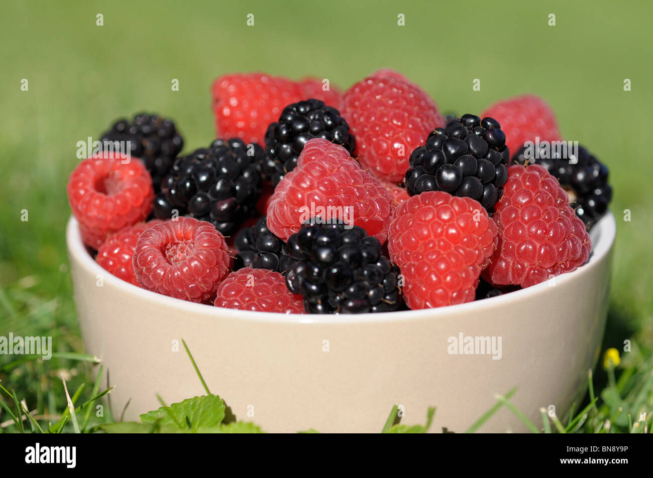Raspberries and Blackberries Stock Photo Alamy