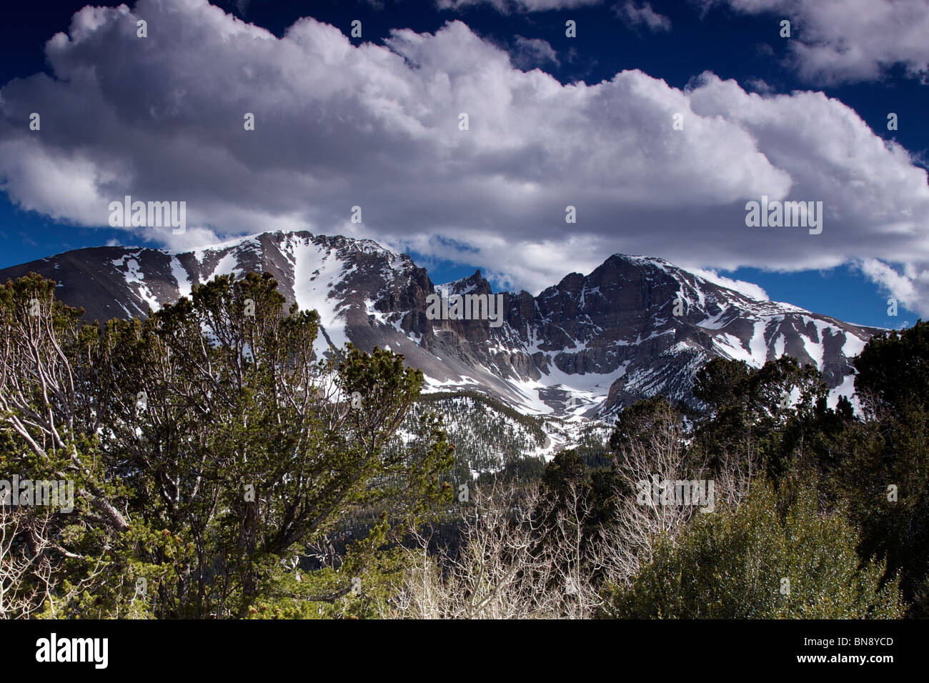 Wheeler Peak Great Basin National Park Stock Photo