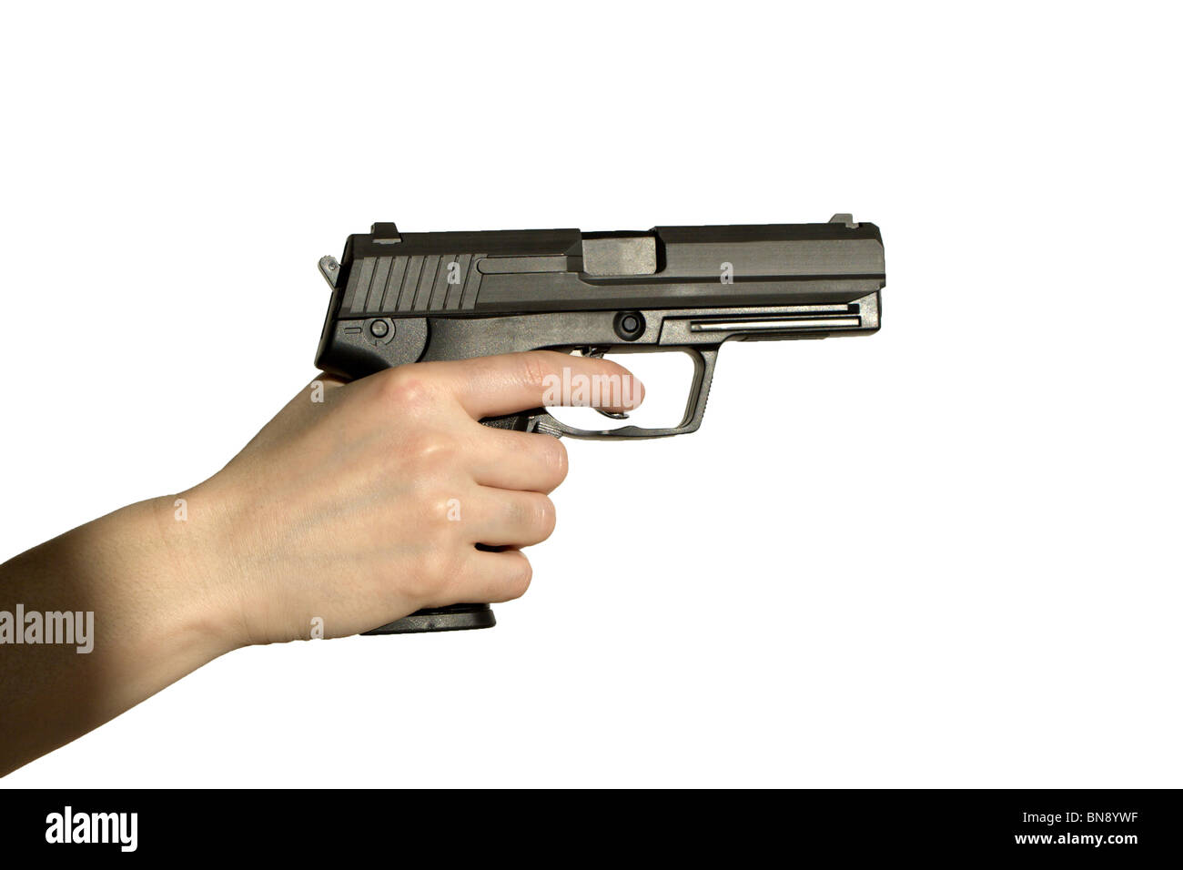 hand with the colt Stock Photo
