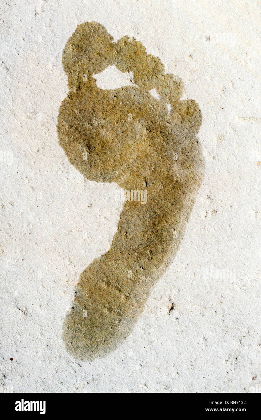 Wet footprint on a stone Stock Photo Alamy