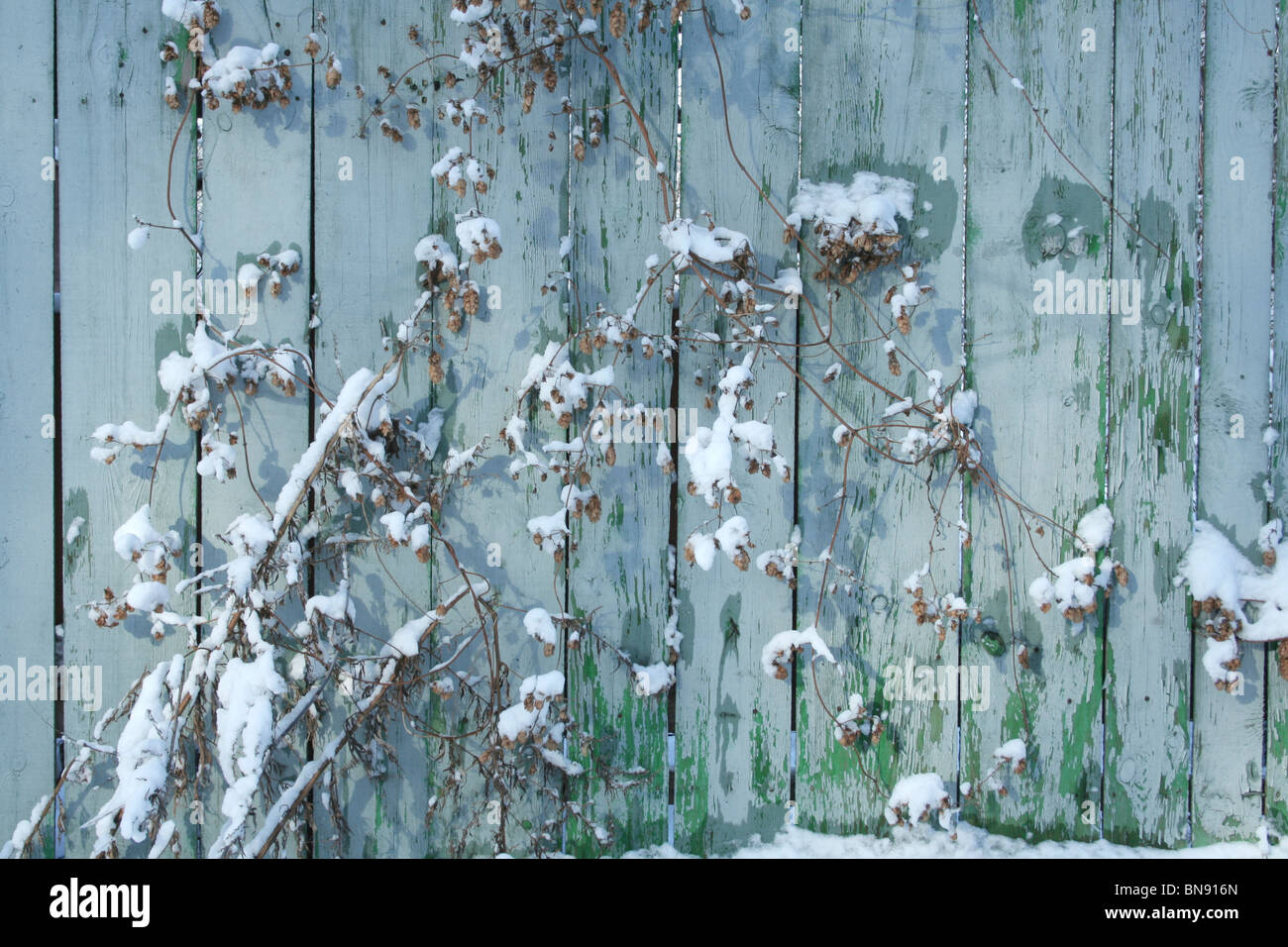 Old wood fence Stock Photo - Alamy