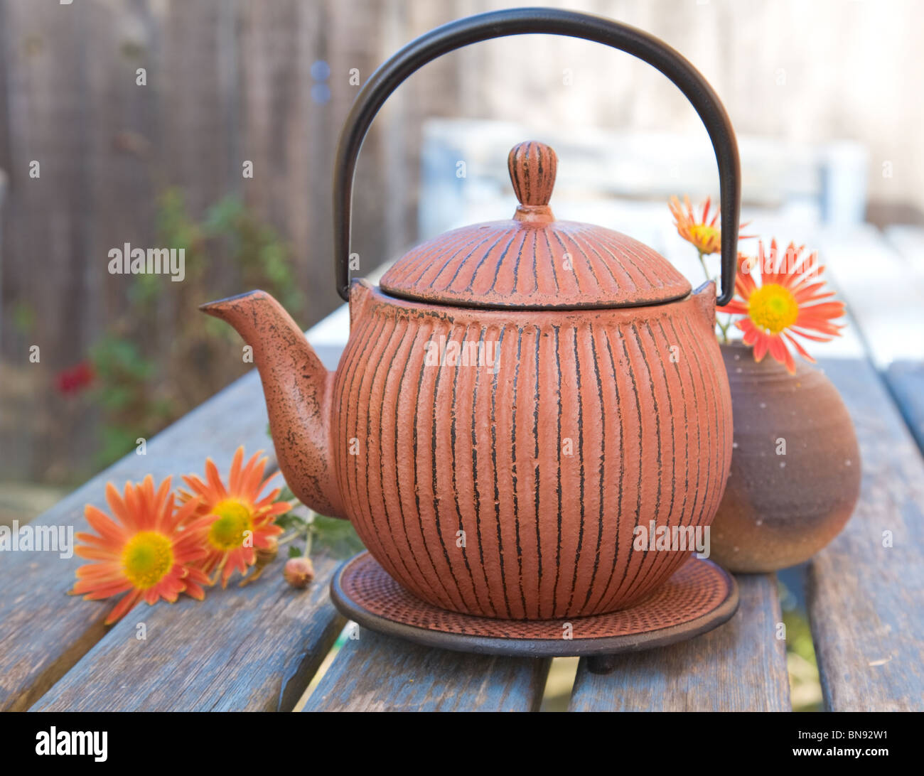 autumn tea traditional japanese cast iron teapot, tetsubin, and