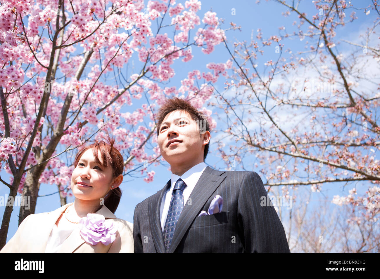 Man and Woman standing under cherry blossom Stock Photo - Alamy