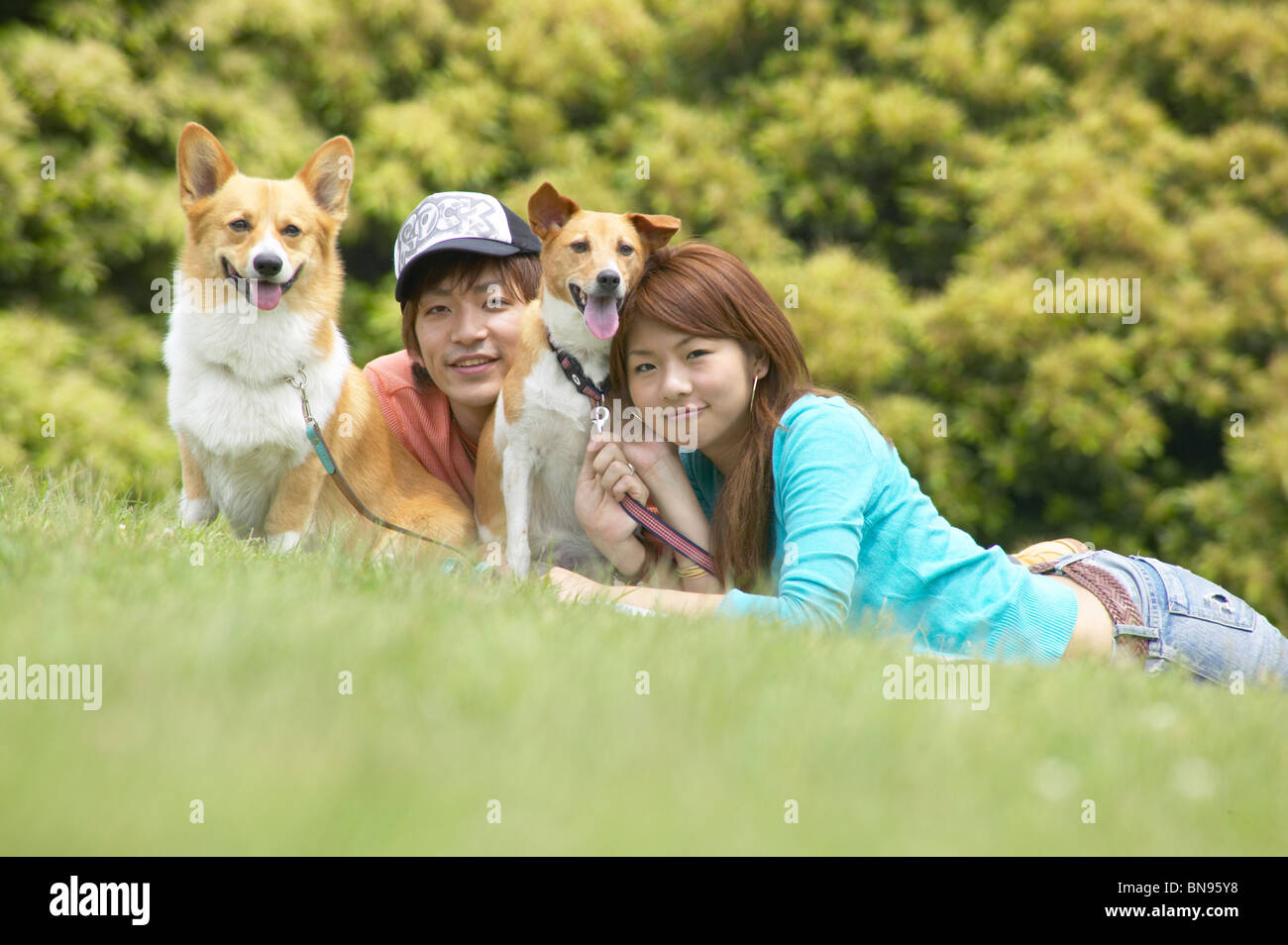 Couple lying down with their two dogs in a park Stock Photo - Alamy