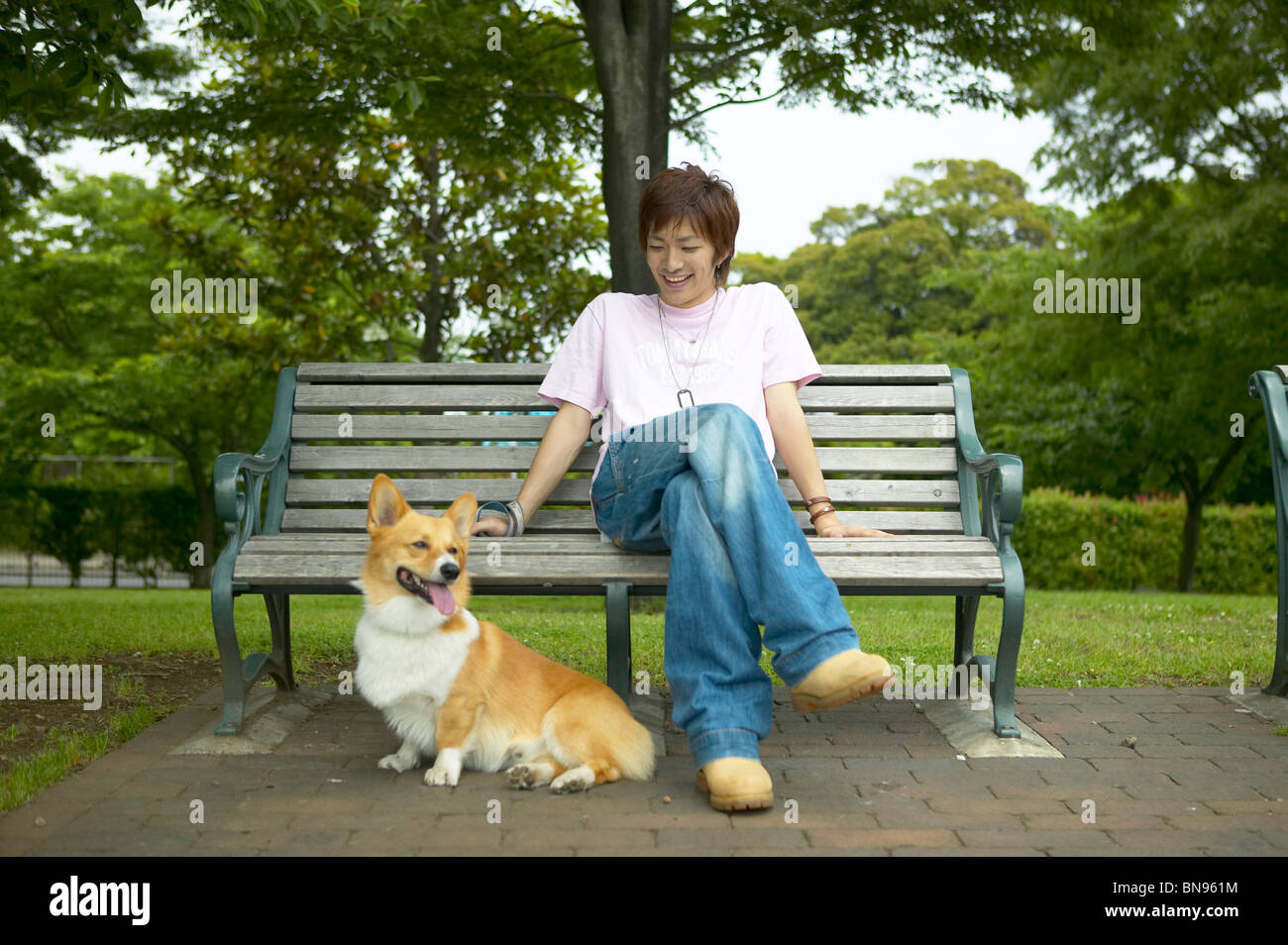 Man sitting on a park bench with his dog next to him Stock Photo - Alamy