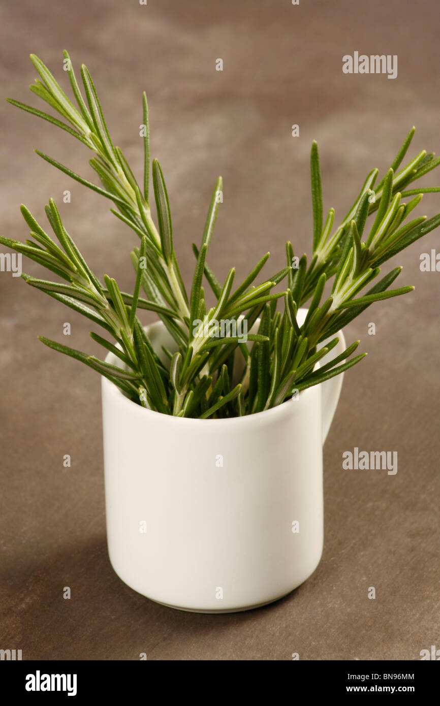Fresh rosemary in porcelain cup Stock Photo