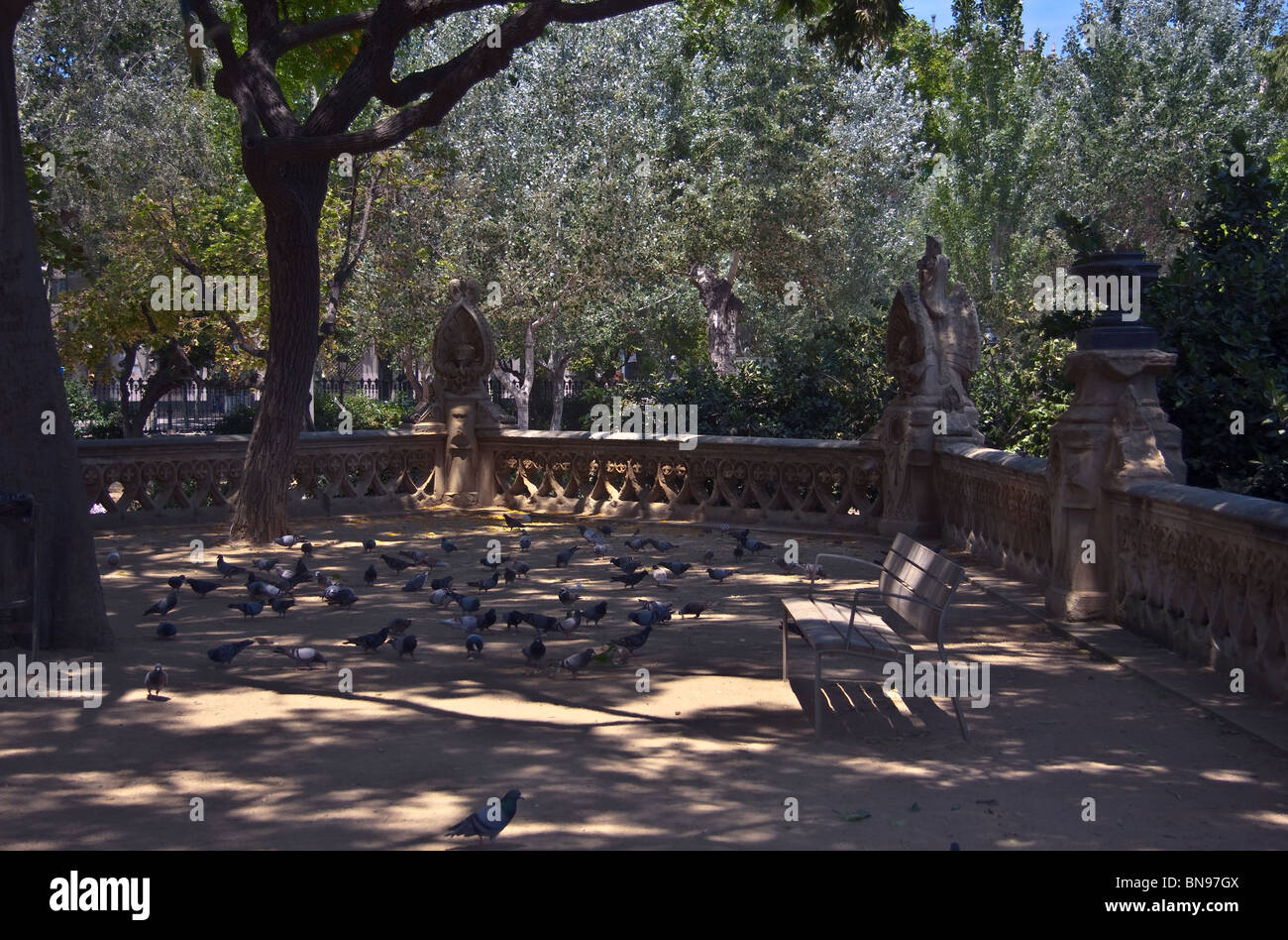 Pigeons enjoy the atmosphere in park De La Ciutadella, Barcelona, Spain Stock Photo