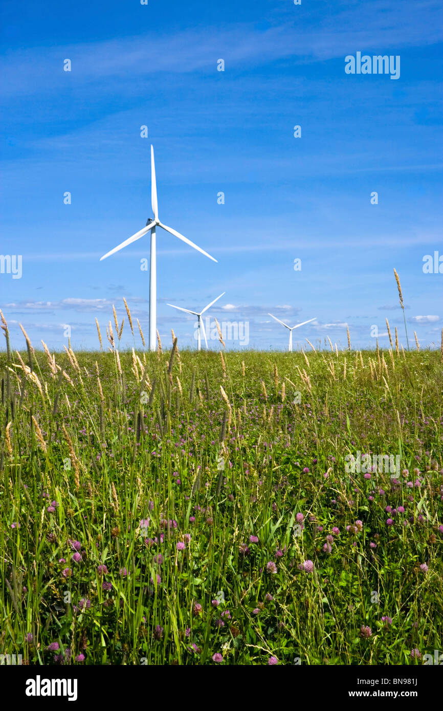 Wind Turbines at Maple Ridge wind farm, Lowville, NY. One of the largest wind farms in the United States. Stock Photo