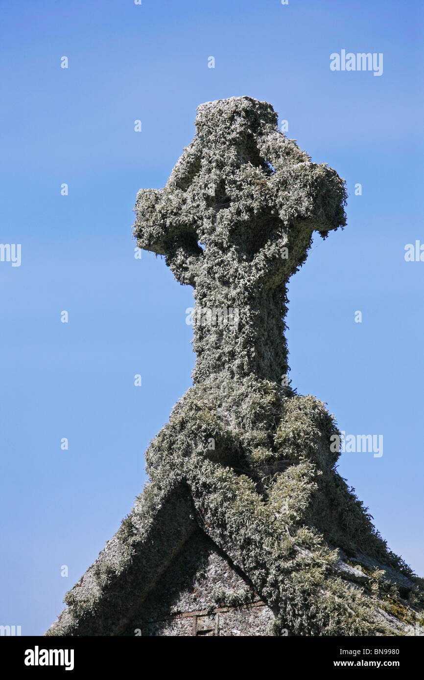 Celtic Cross covered in lichen; St Winwaloe Church, Poundstock, Cornwall, England Stock Photo