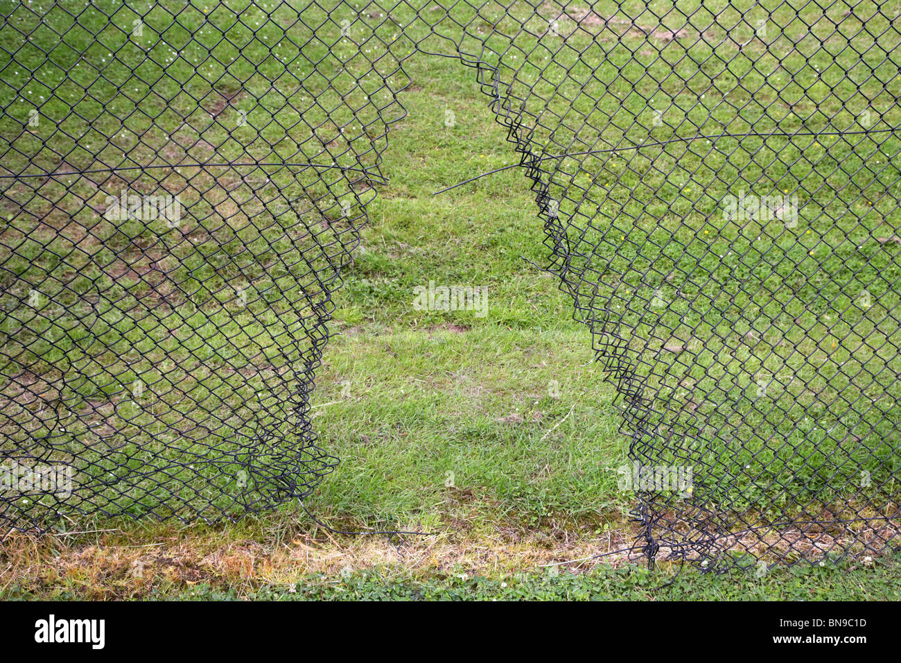 hole cut in chain link fencing in the uk Stock Photo