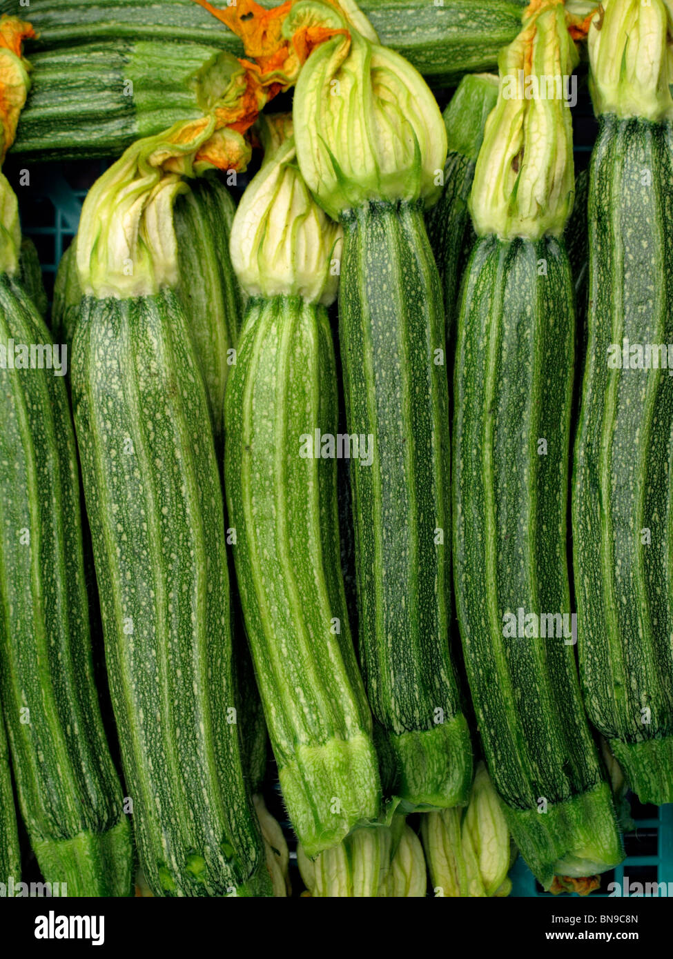 courgettes with flowers Stock Photo Alamy