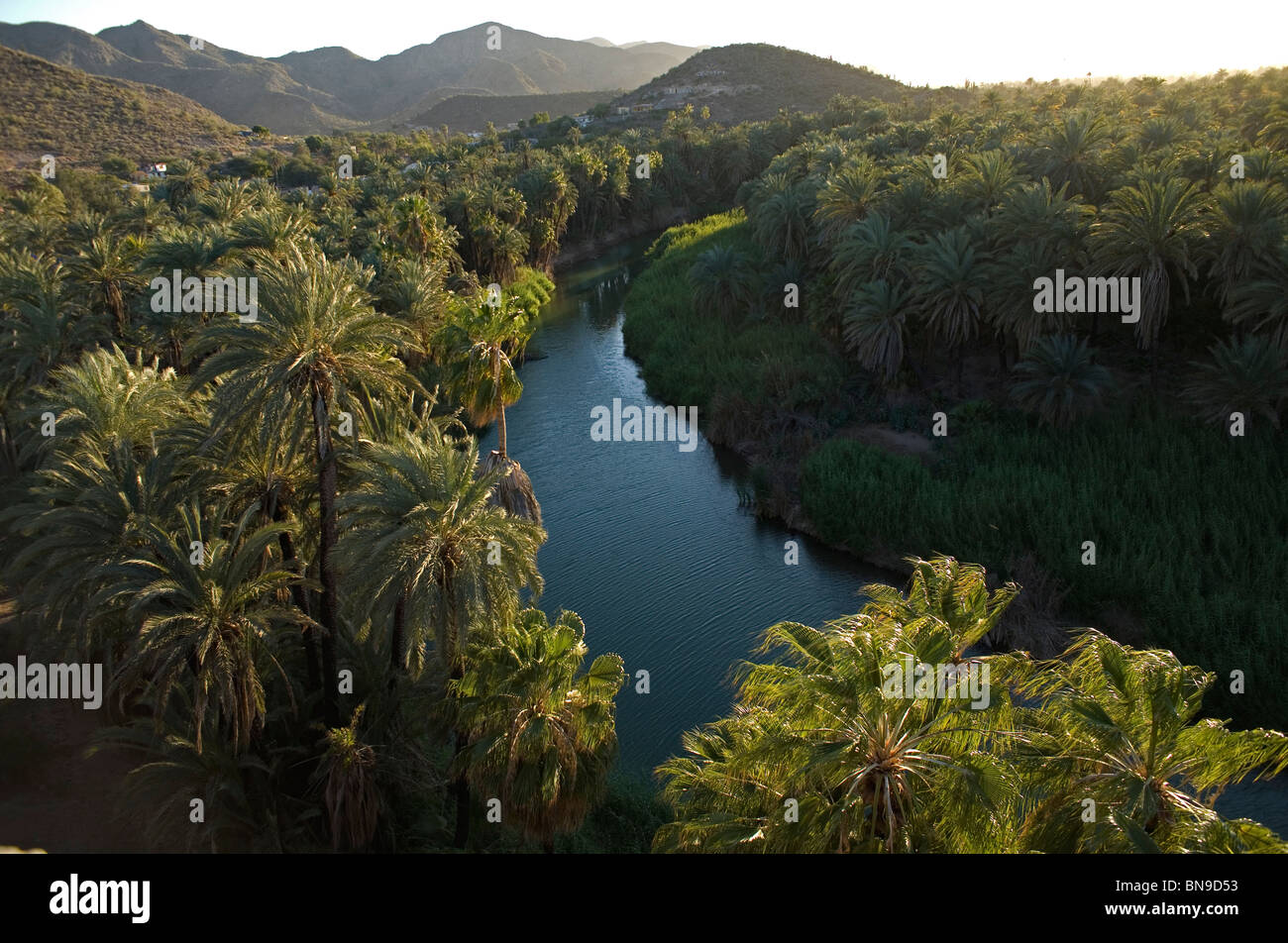 The river of Mulege in Mexico's southern Baja California state