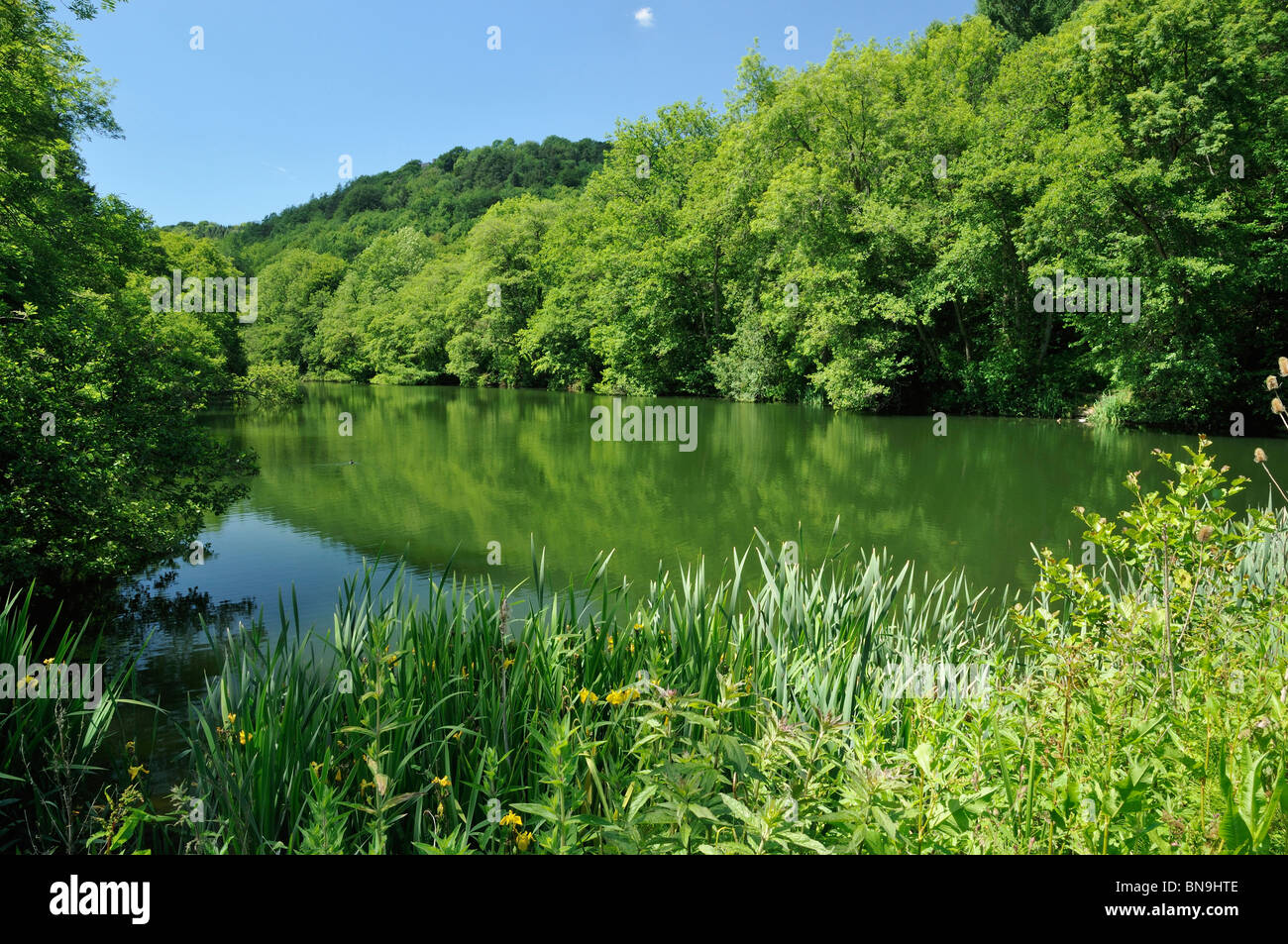 The Lake at Woodchester Park, Dursley, Gloucestershire Stock Photo