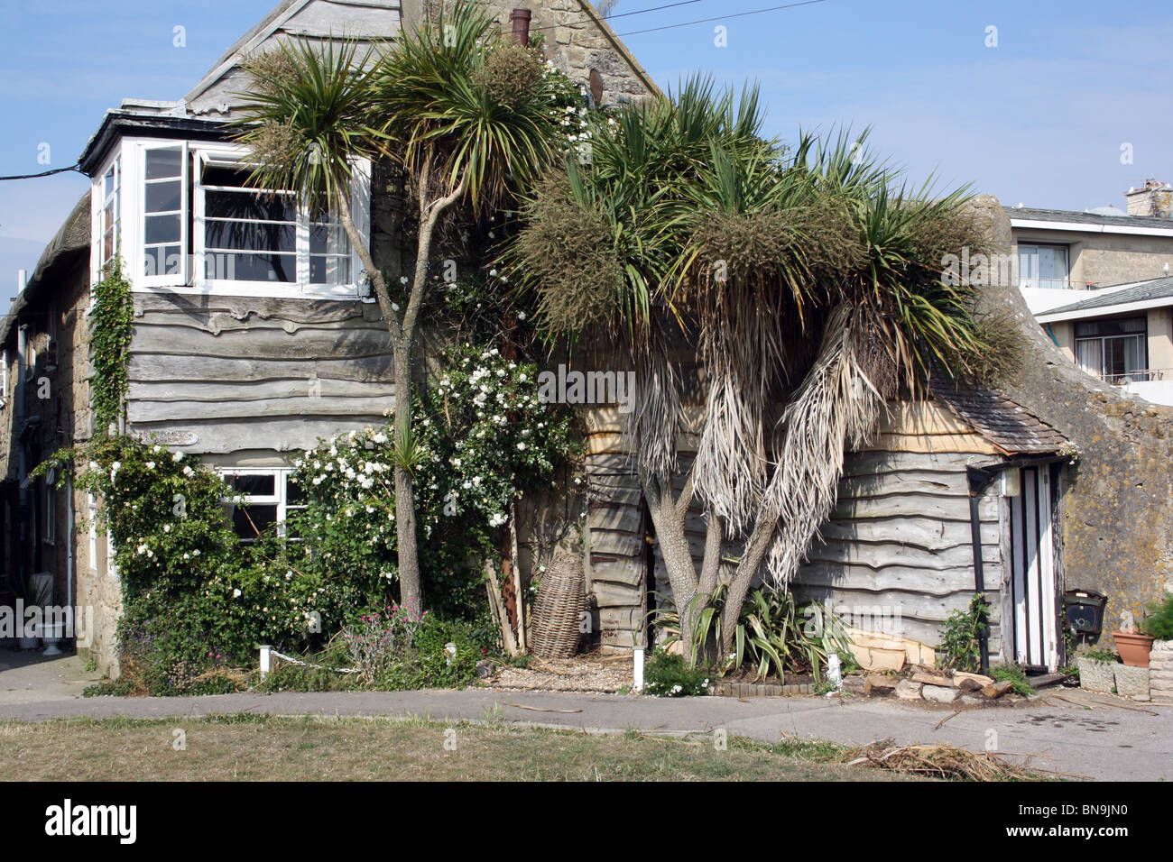 House at West Bay, Bridport, Dorset Stock Photo Alamy