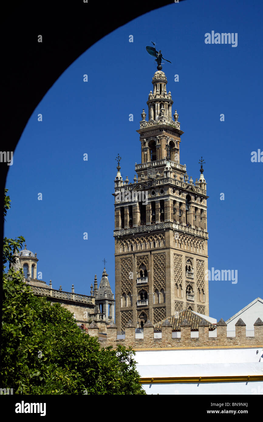 Giralda tower, Seville Cathedral, Catedral de Santa María de la Sede, Seville, Andalucia, Spain, Europe, Stock Photo