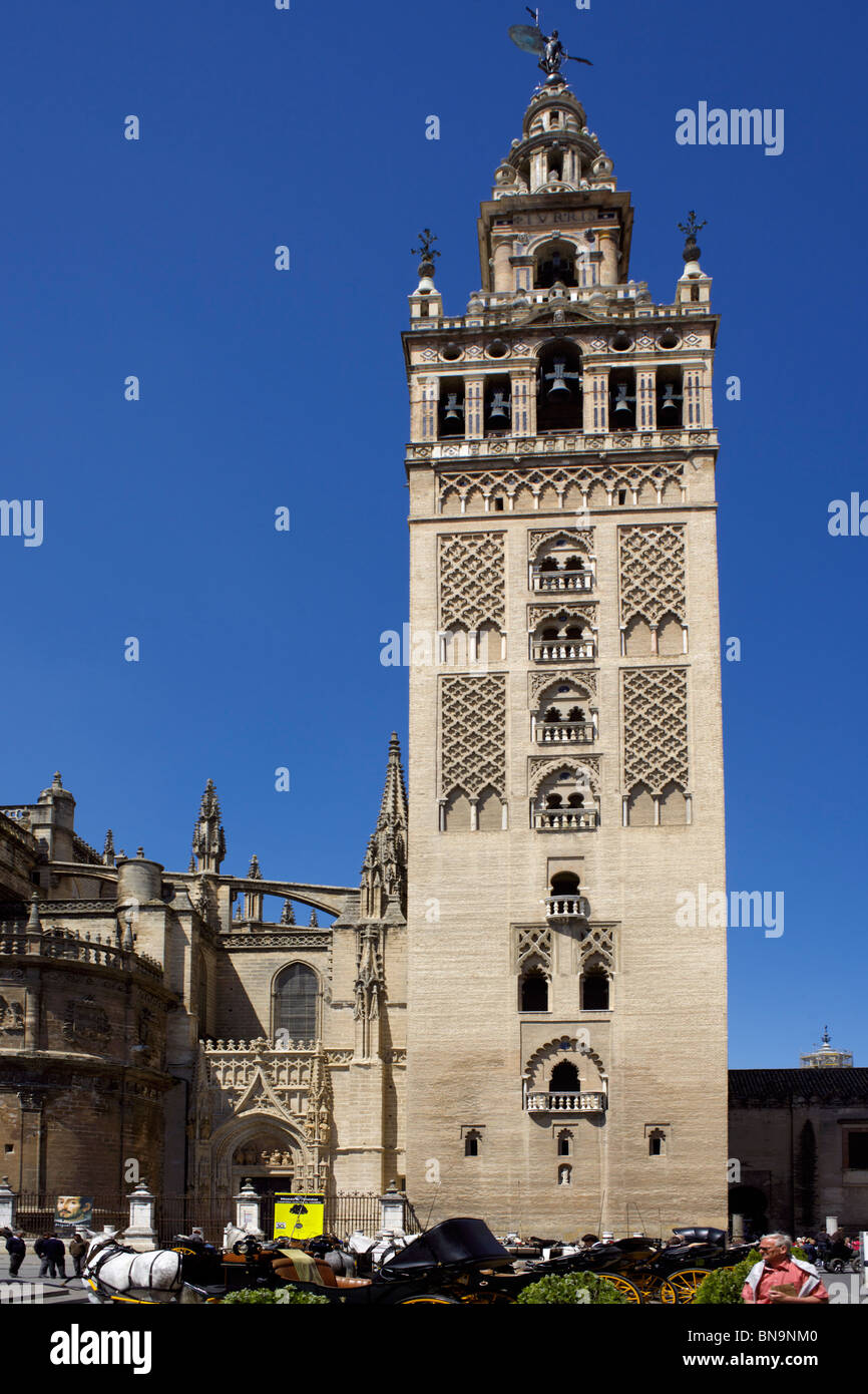 Giralda tower, Seville Cathedral, Catedral de Santa María de la Sede, Seville, Andalucia, Spain, Europe, Stock Photo