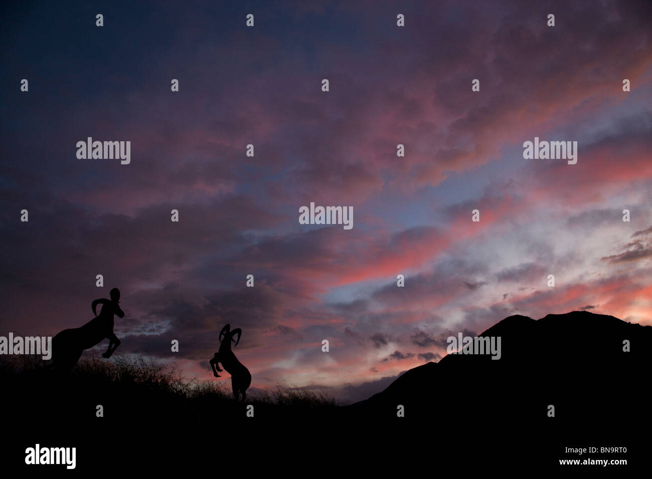 Sheep statues at sunset, AnzaBorrego Desert State Park, California