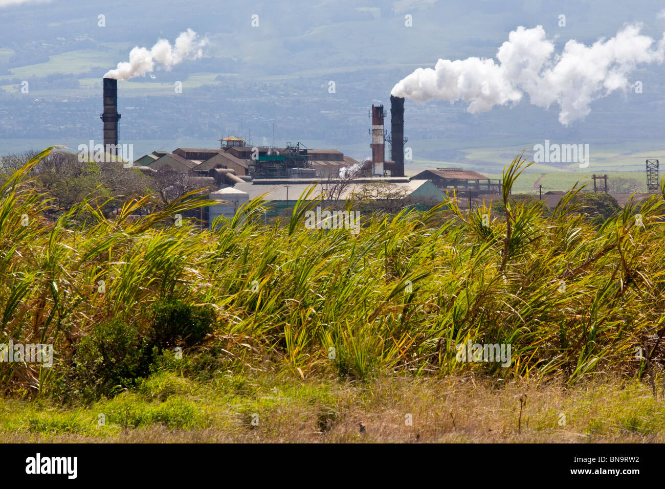 Sugar processing plant on Maui in Hawaii Stock Photo