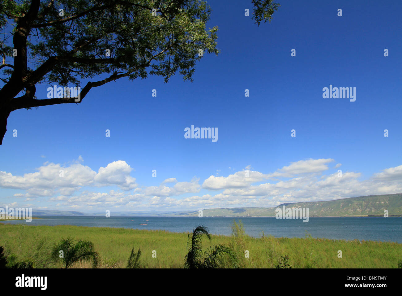 Galilee israel sea hi-res stock photography and images - Alamy