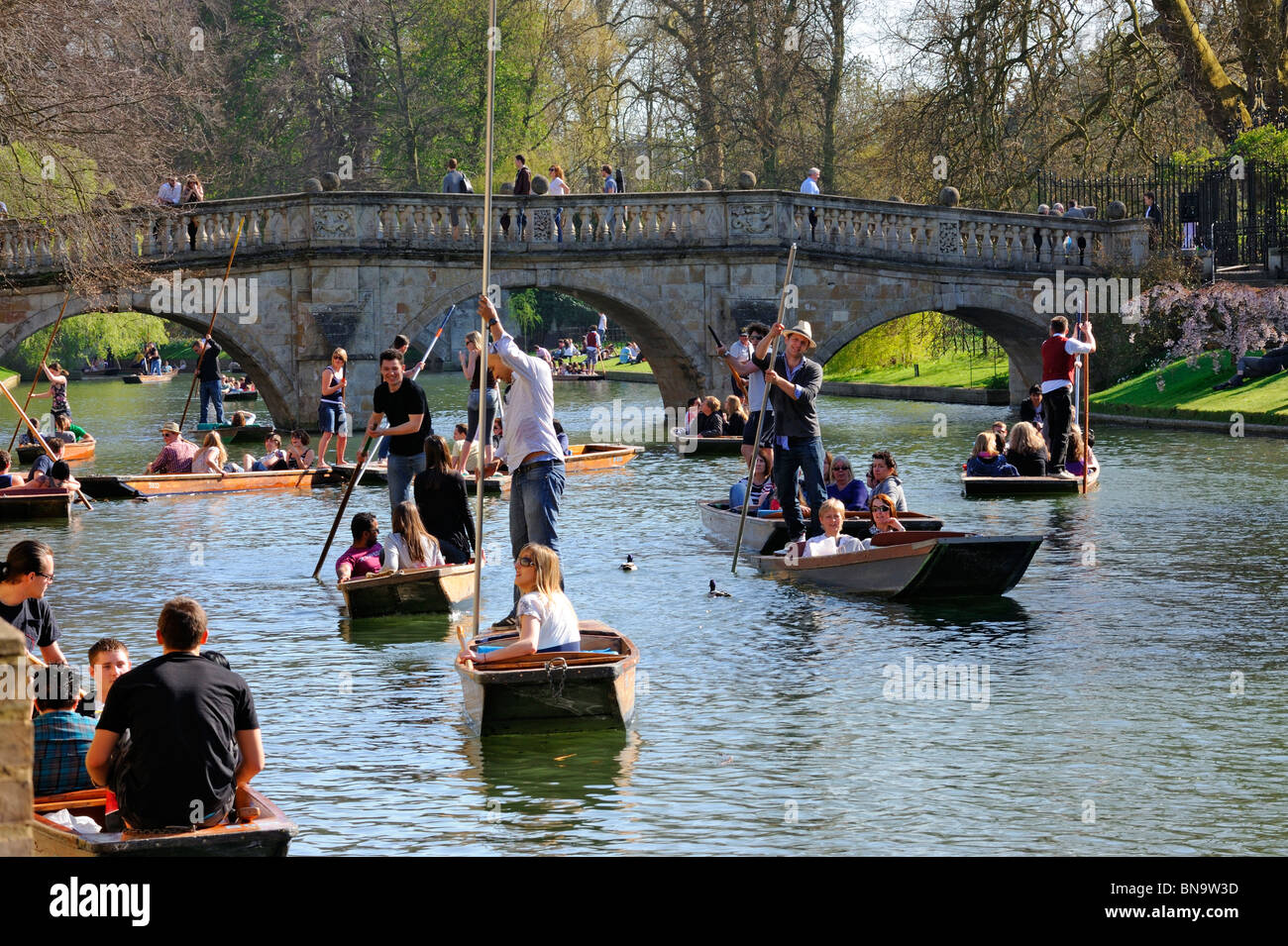 Punting in spring on the River Cam in Cambridge, England Stock Photo