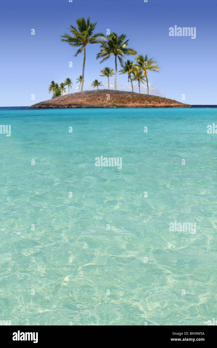 Paradise palm tree island in tropical turquoise beach sea Stock Photo
