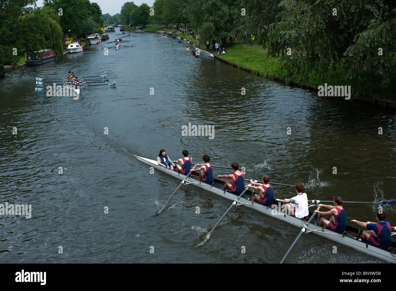Rowers head down river during the May Bumps in Cambridge. Stock Photo