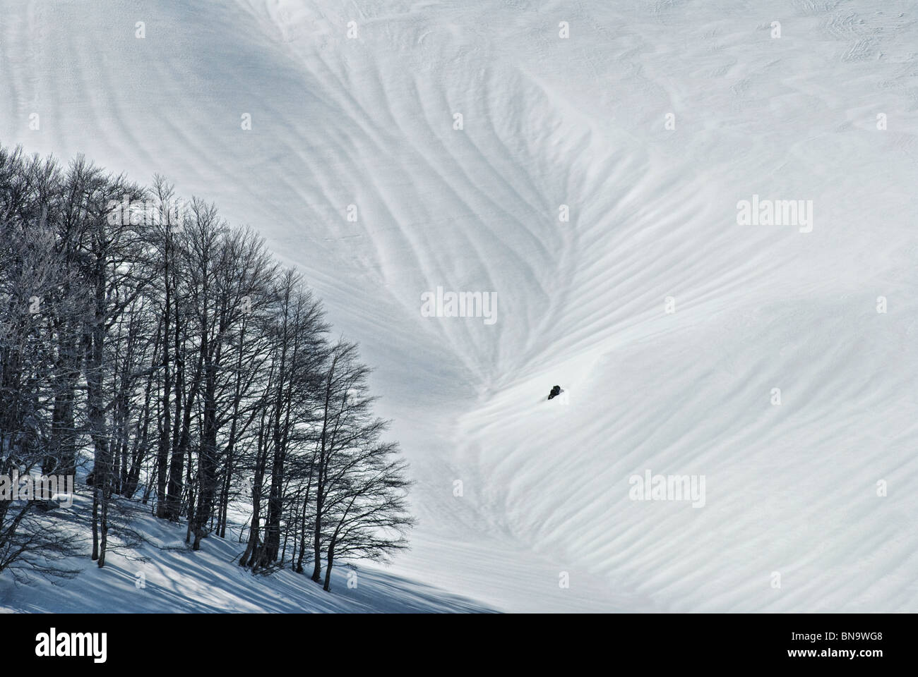 shapes on the snow, with a group of trees Stock Photo