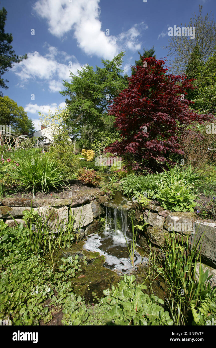 Stonyford Cottage Gardens, England. Picturesque spring view of Stonyford Cottage Gardens pond and water feature. Stock Photo