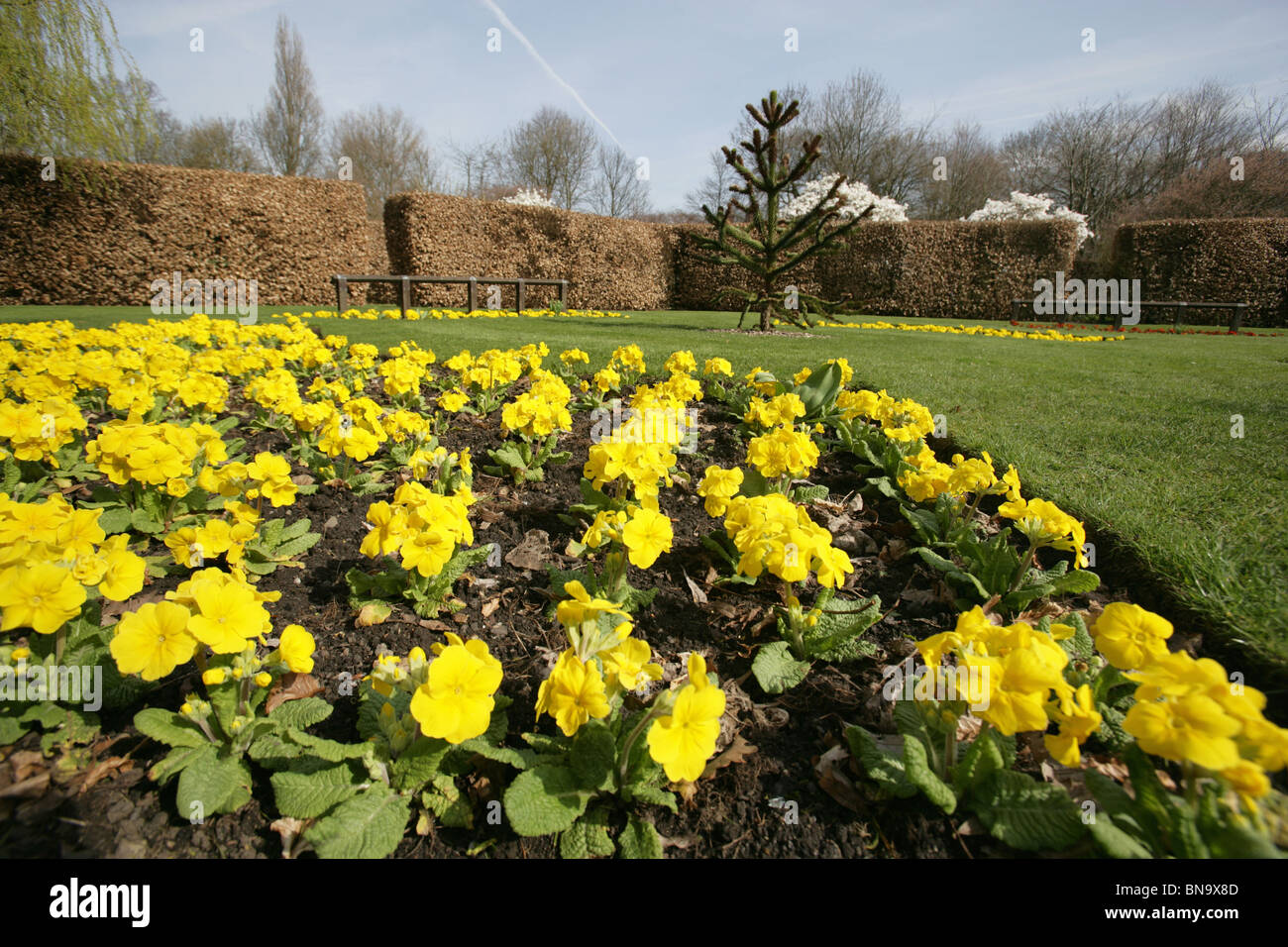 Walkden Gardens, Sale, England. Close up view low angle view of spring
