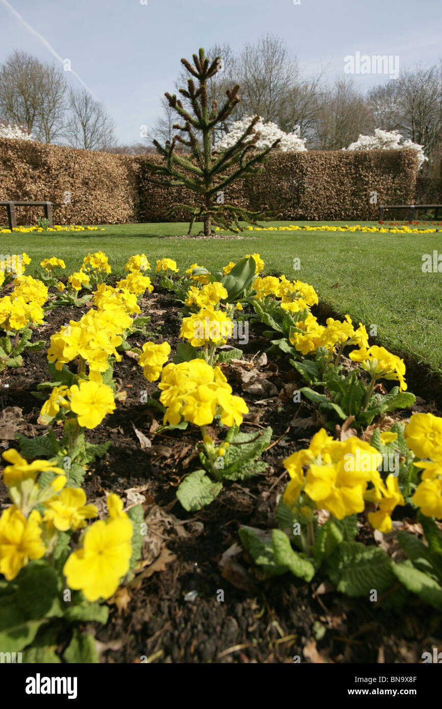 Walkden Gardens, Sale, England. Close up view low angle view of spring