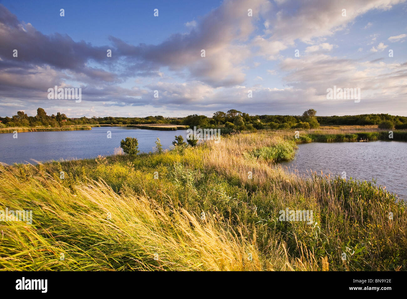 The Waters Edge Country Park at Barton upon Humber in North Lincolnshire, on a sunny summer evening Stock Photo