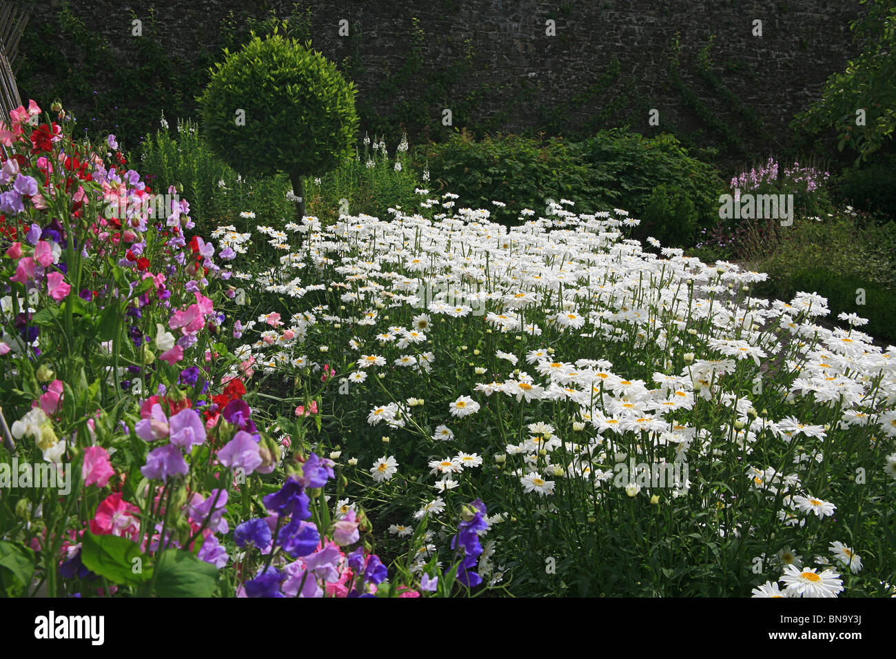 The Lower Walled Garden at Aberglasney House, Llangathen, Carmarthenshire, Wales, UK Stock Photo