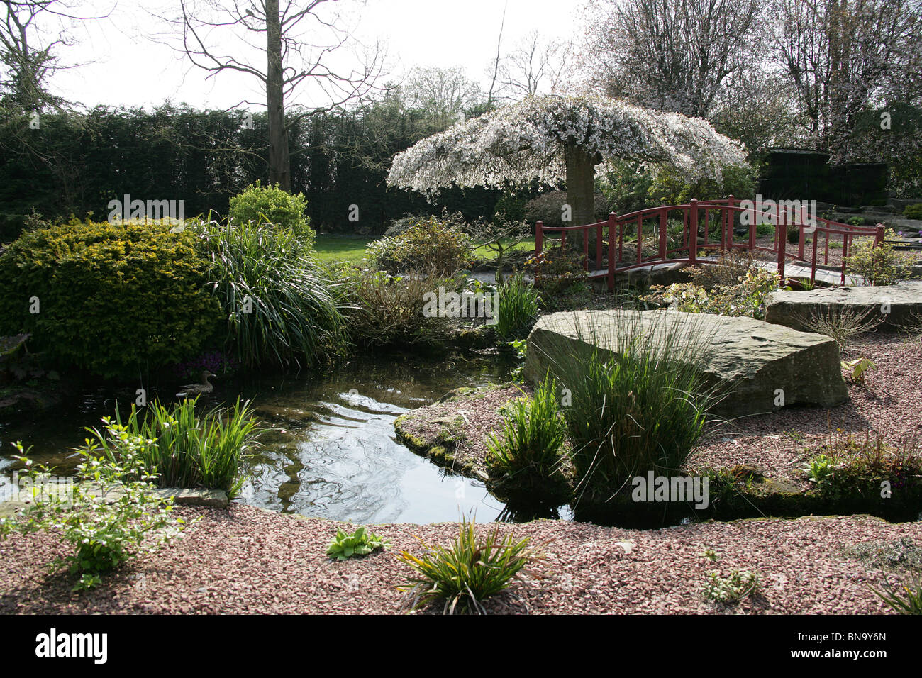 Chester Zoological Gardens. General view of Chester Zoo’s Rock Garden. Stock Photo