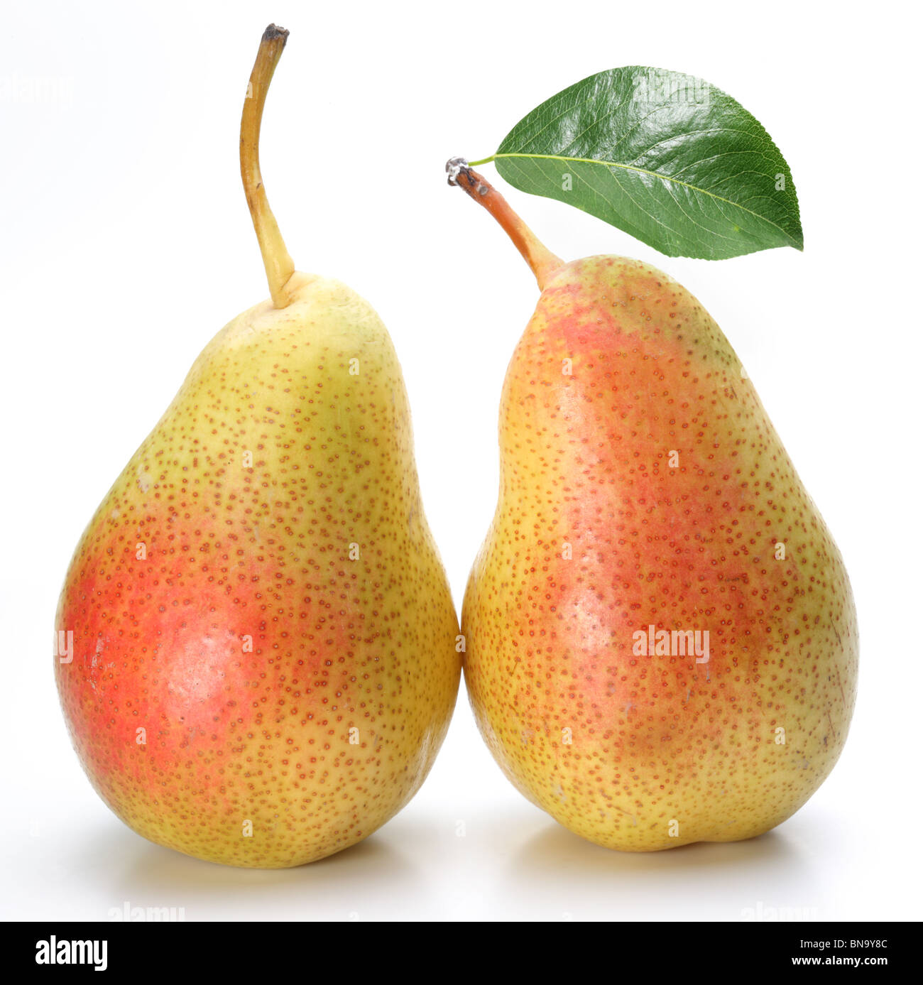Couple yellow pear fruit Cut Out Stock Images & Pictures - Alamy