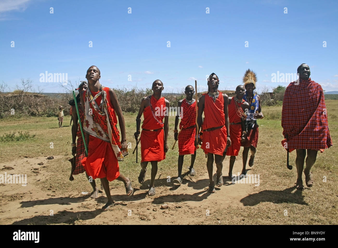 Masai villagers dancing in there village inside Masai Mara National Reserve , Kenya Stock Photo