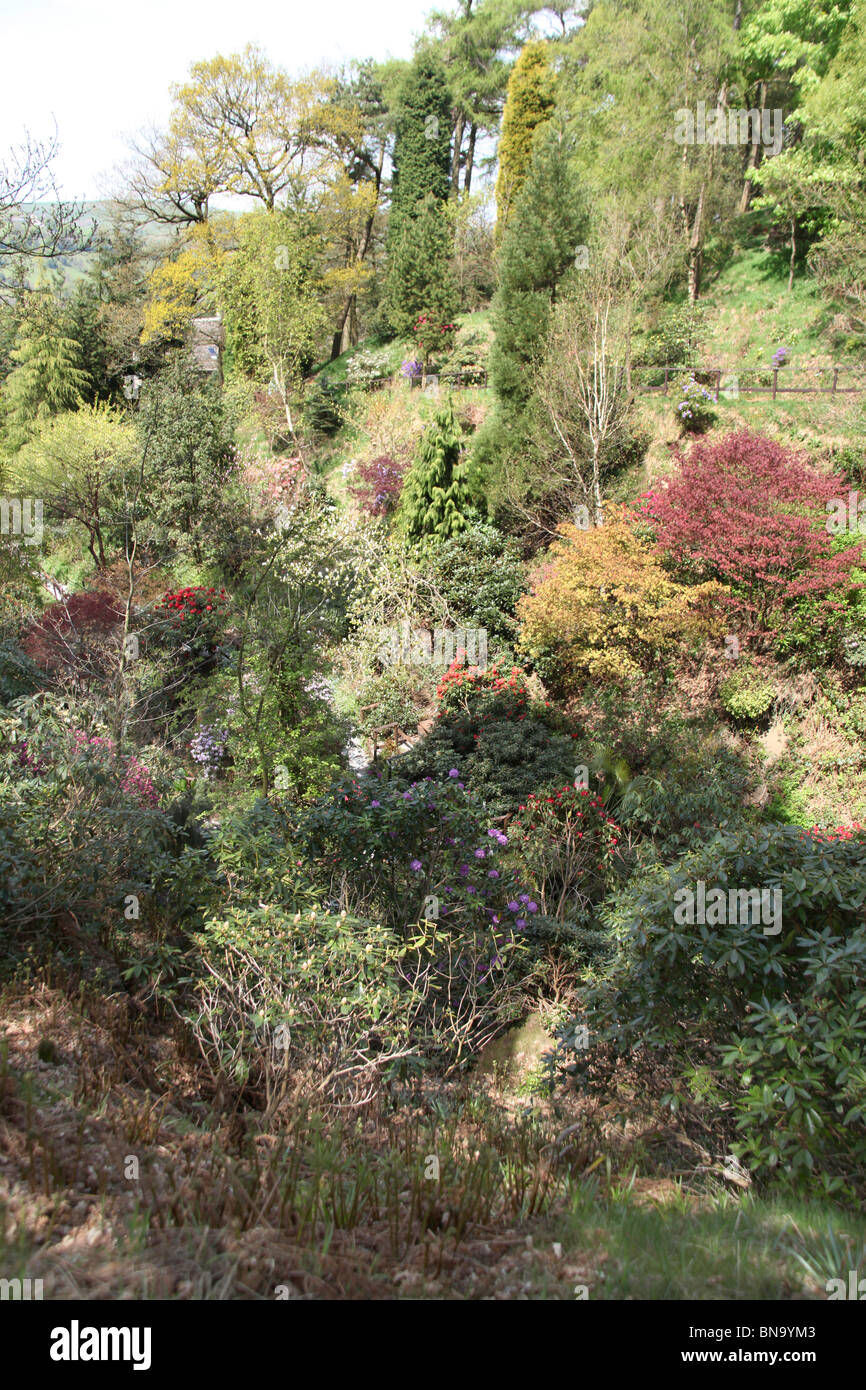Dunge valley cheshire hi-res stock photography and images - Alamy