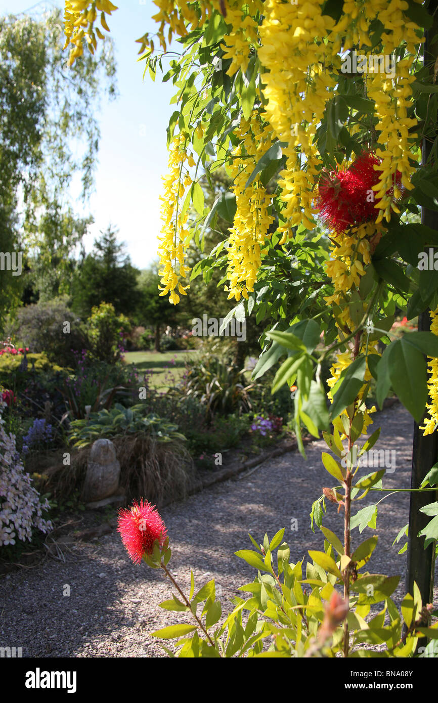 Mount Pleasant Gardens, England. Late spring view of a red ...