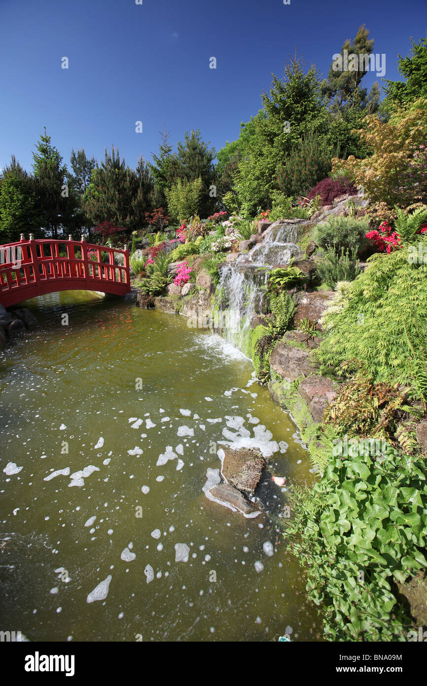 Mount Pleasant Gardens, England. Late spring view of a waterfall
