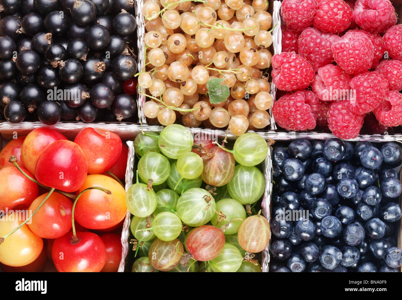 Different colourful berries in the box Stock Photo Alamy