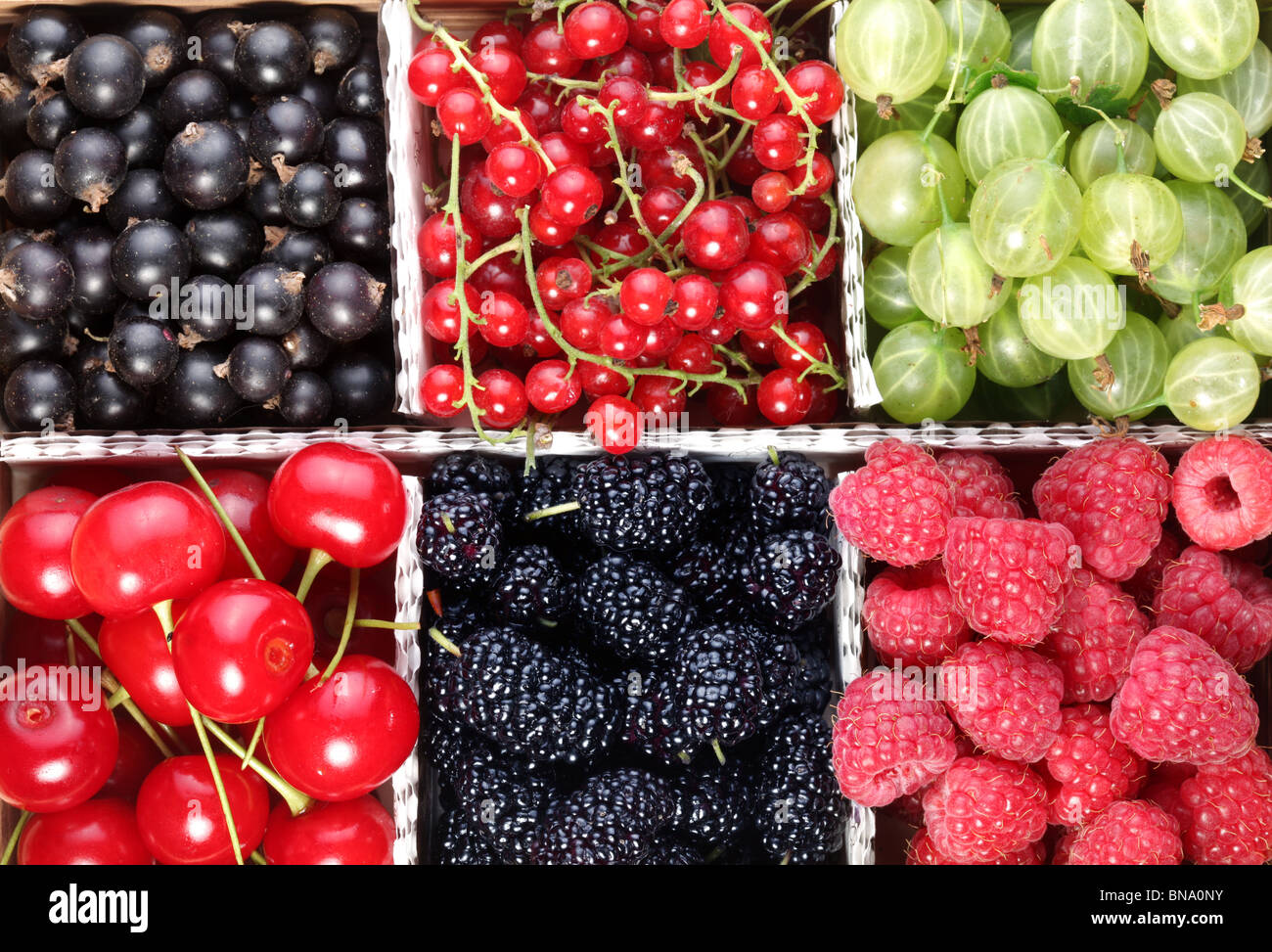 Different colourful berries in the box Stock Photo Alamy