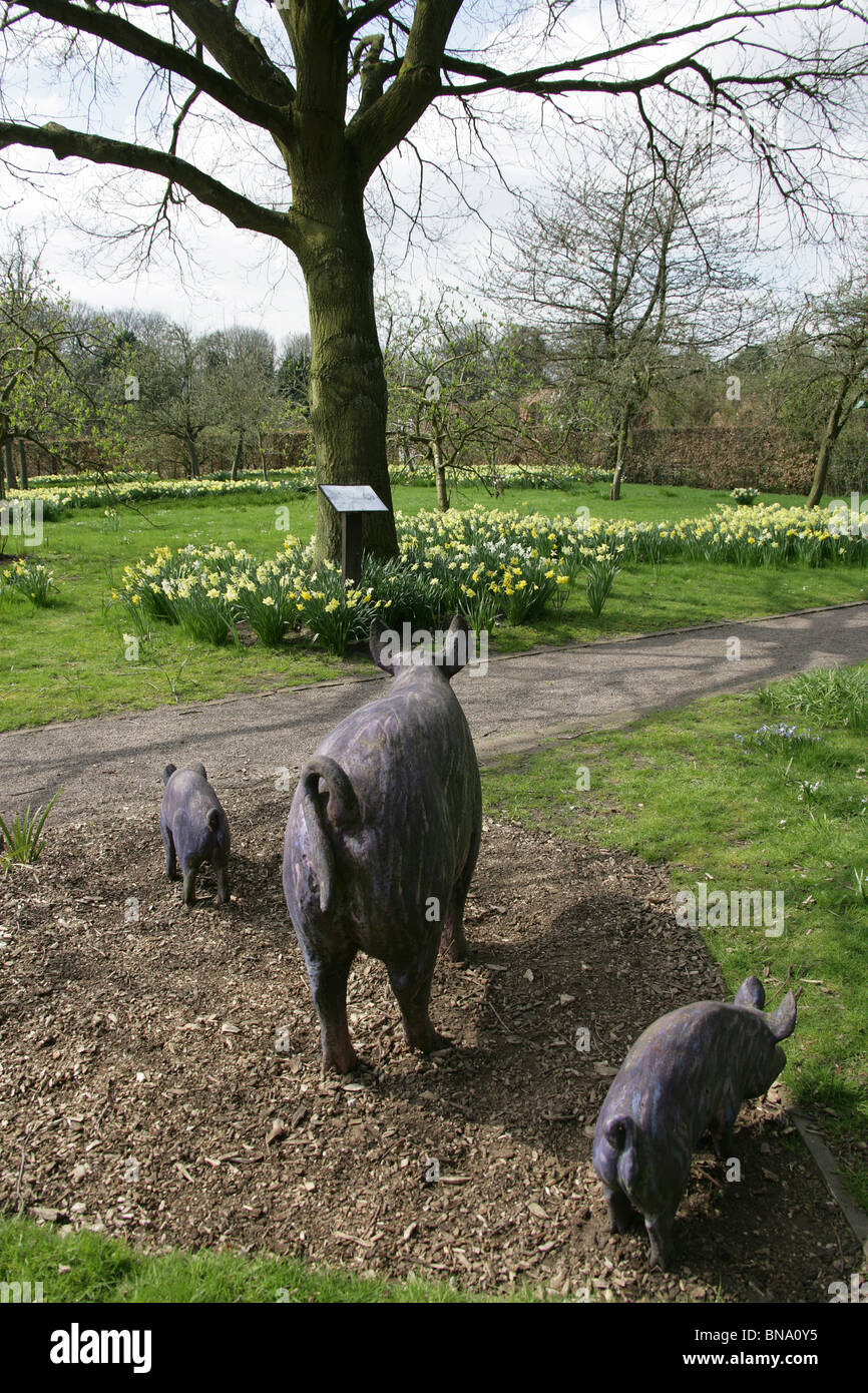 Norton Priory Museum & Gardens. Norton Priory Sculpture Trail includes bronze sculptures of a family of purple pigs. Stock Photo