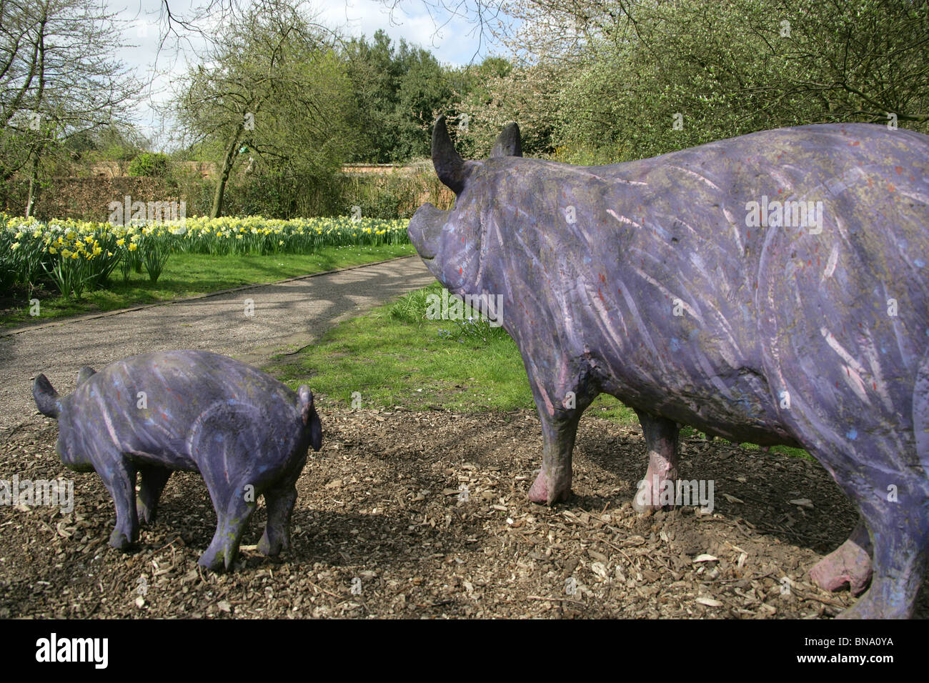 Norton Priory Museum & Gardens. Norton Priory Sculpture Trail includes bronze sculptures of a family of purple pigs. Stock Photo