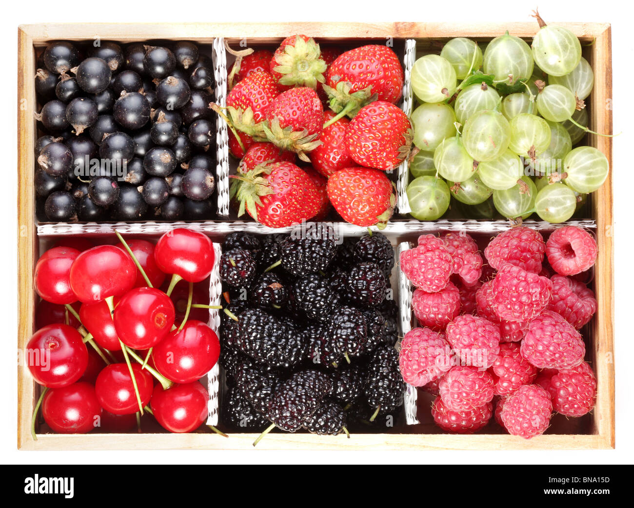 Different colourful berries in the box Stock Photo Alamy