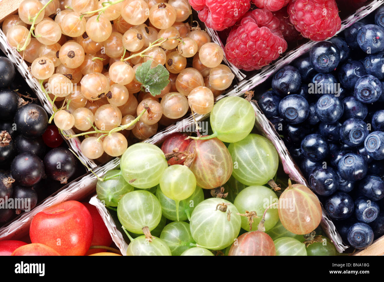 Different colourful berries in the box Stock Photo Alamy