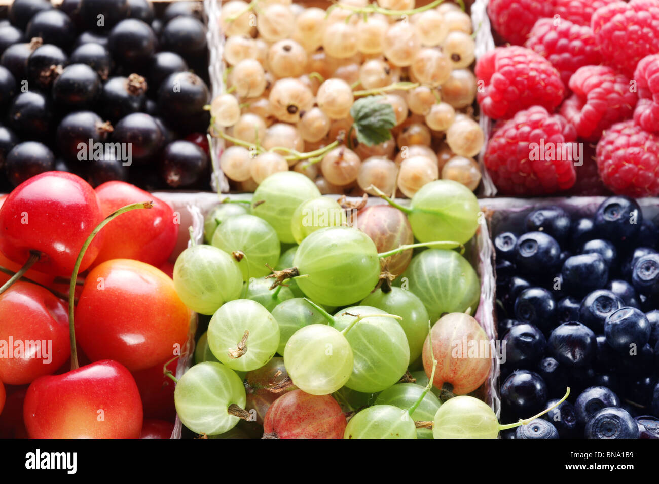Different colourful berries in the box Stock Photo Alamy