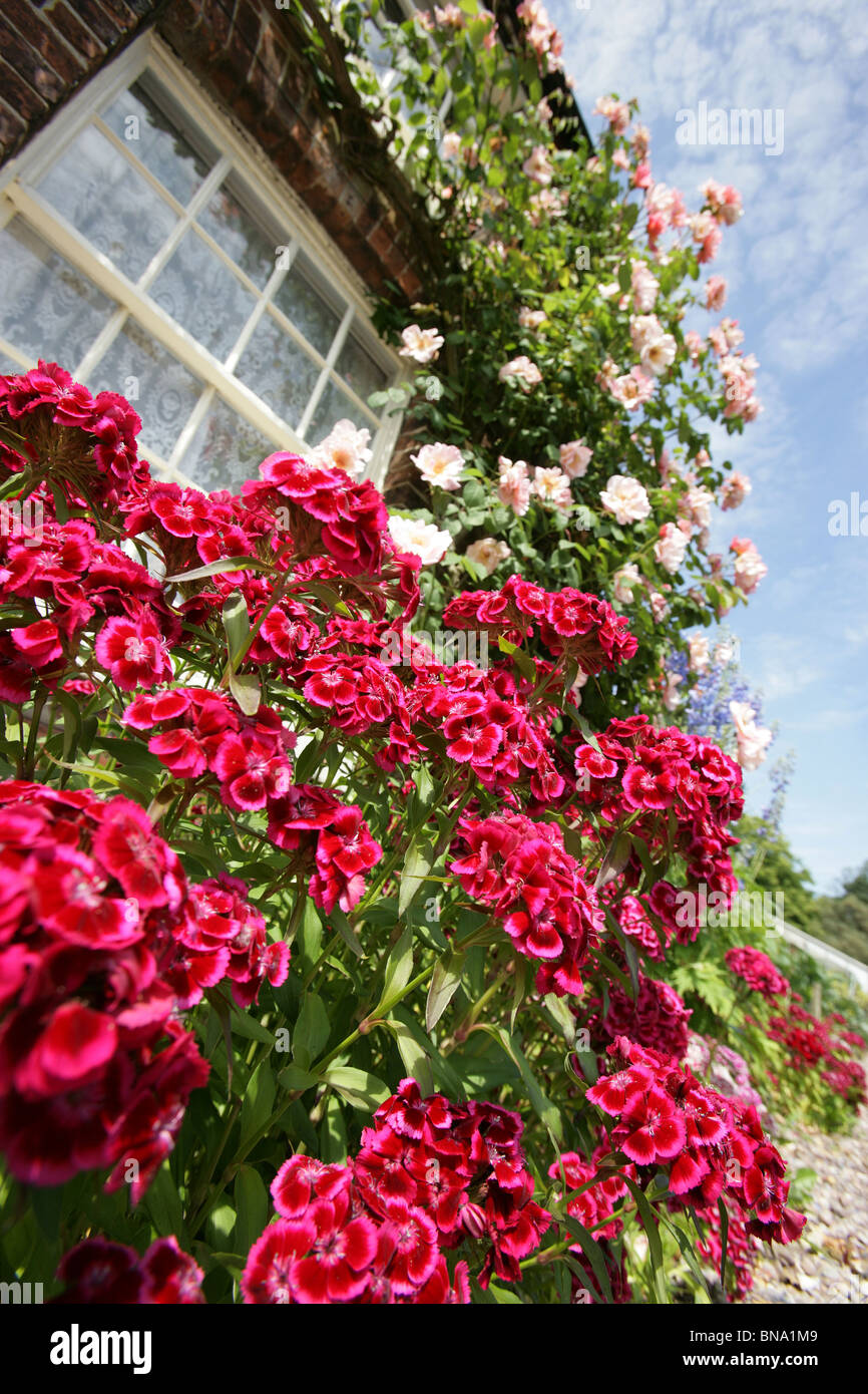 Kitchen garden flower hires stock photography and images Alamy