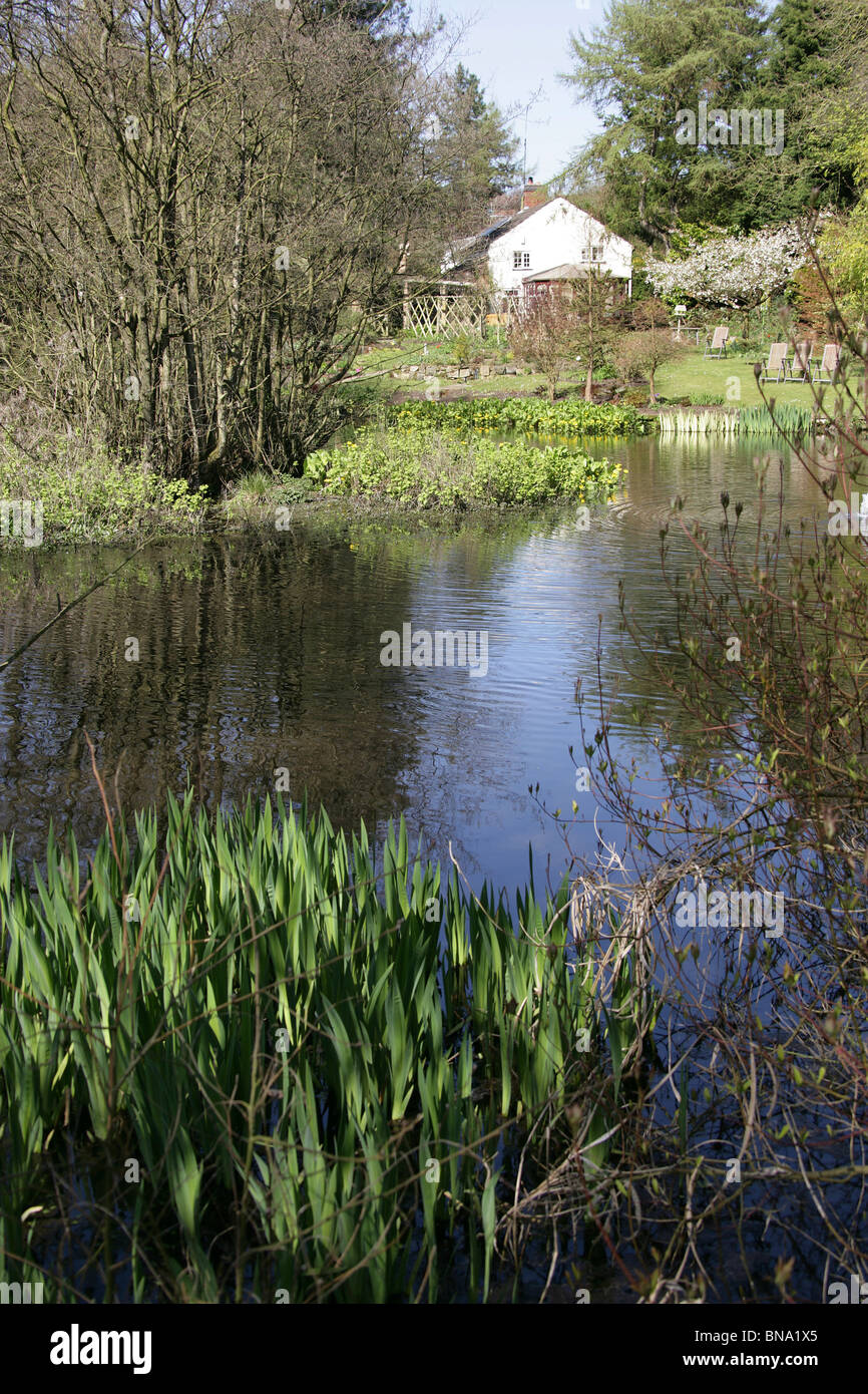 Stonyford Cottage Gardens, England. Picturesque spring view of the spring fed lake at Stonyford