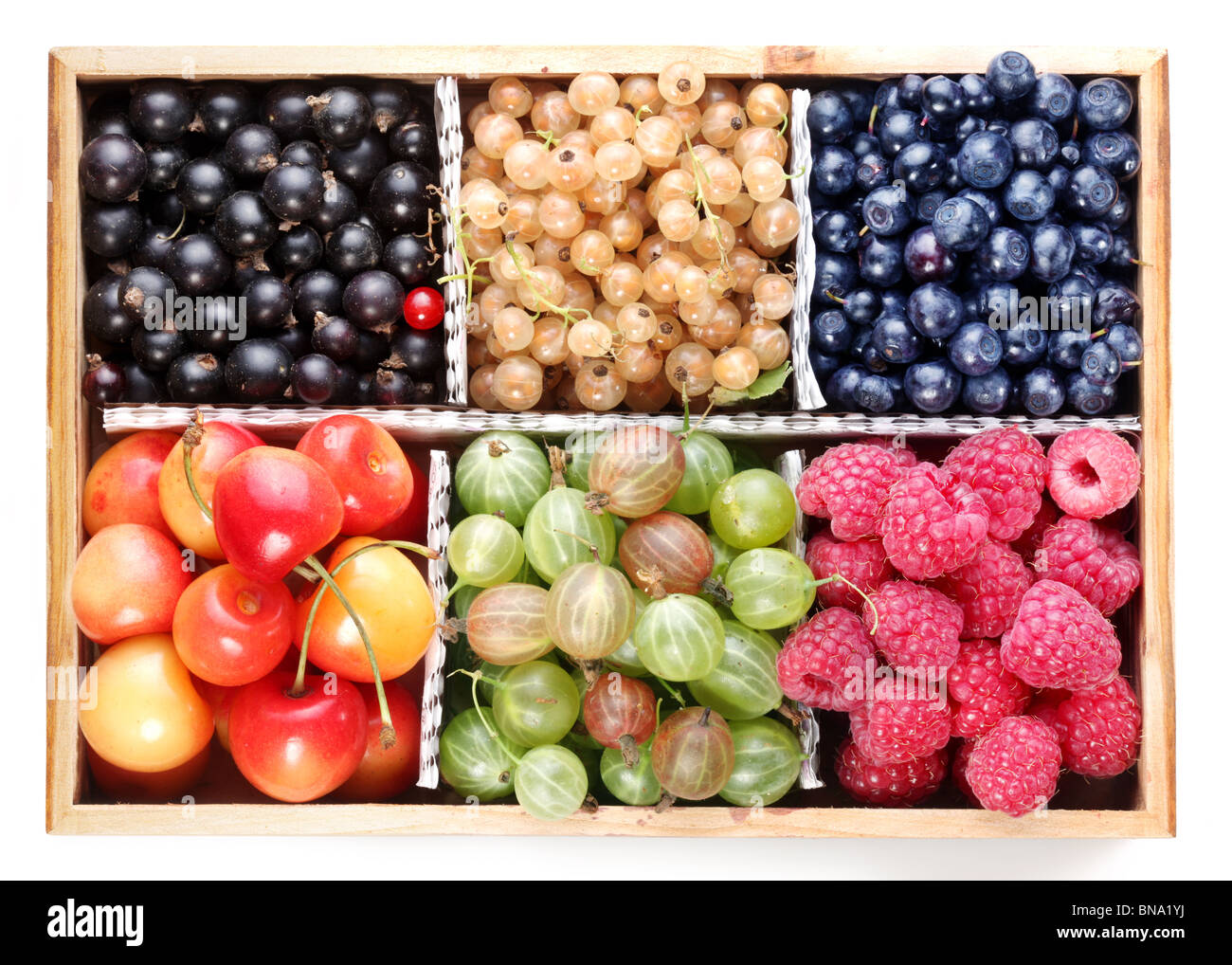 Different colourful berries in the box Stock Photo Alamy