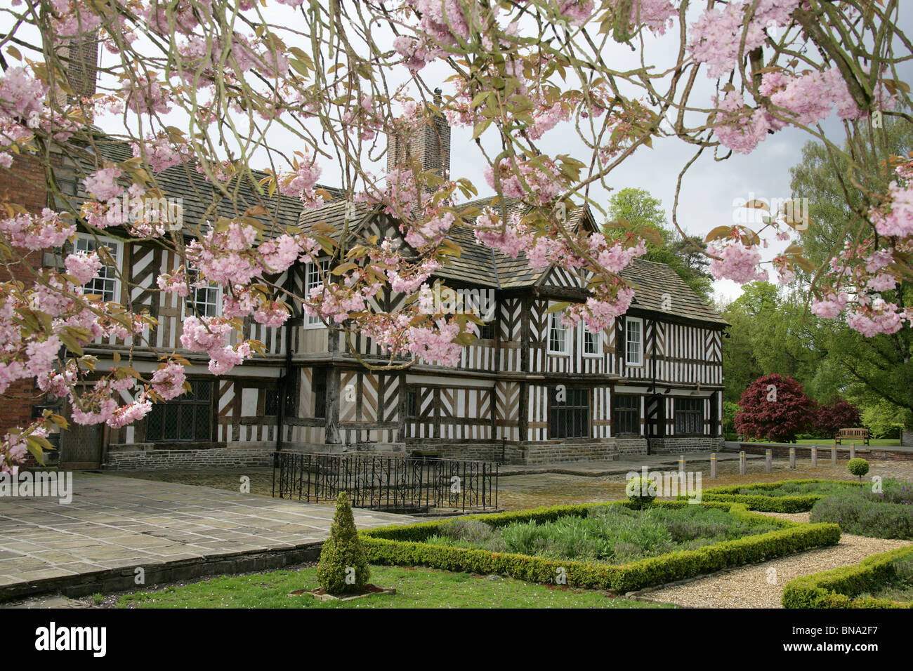 Adlington Hall Gardens England Spring View Of A Pink Cherry Blossom Tree With Adlington Hall In The Background Stock Photo Alamy